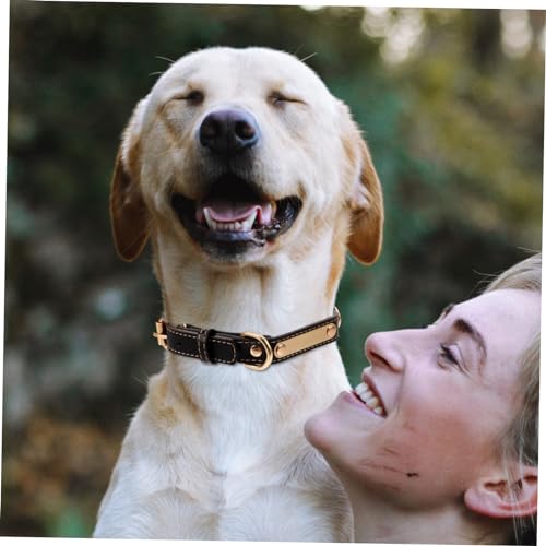 SEWOART Collier pour Chien Cuir PU Réglable pour Chiot Élevage avec Étiquette Vierge