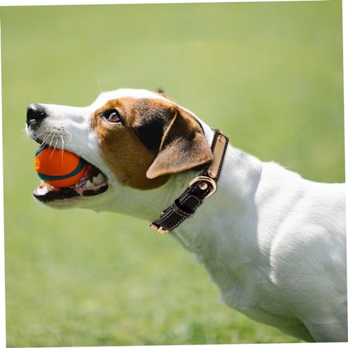 Collier ajustable pour chien chiot avec étiquette vierge et accessoire décoratif léger et élégant