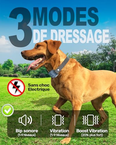 STAALGUARD Collier de Dressage pour Chien sans Choc Électrique, Modes BIP, Vibration et Boost, Autonomie 30 Jours
STAAL